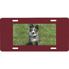 Generated Product Preview for Suzanne Pare Review of Photo Front License Plate