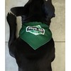 Image Uploaded for SHERYL Review of Logo & Company Name Dog Bandana