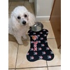 Image Uploaded for Deborah Review of Pirate Bone Shaped Dog Food Mat (Personalized)