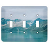Generated Product Preview for Michele Review of Design Your Own Light Switch Cover