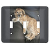 Generated Product Preview for Chris Review of Design Your Own Light Switch Cover