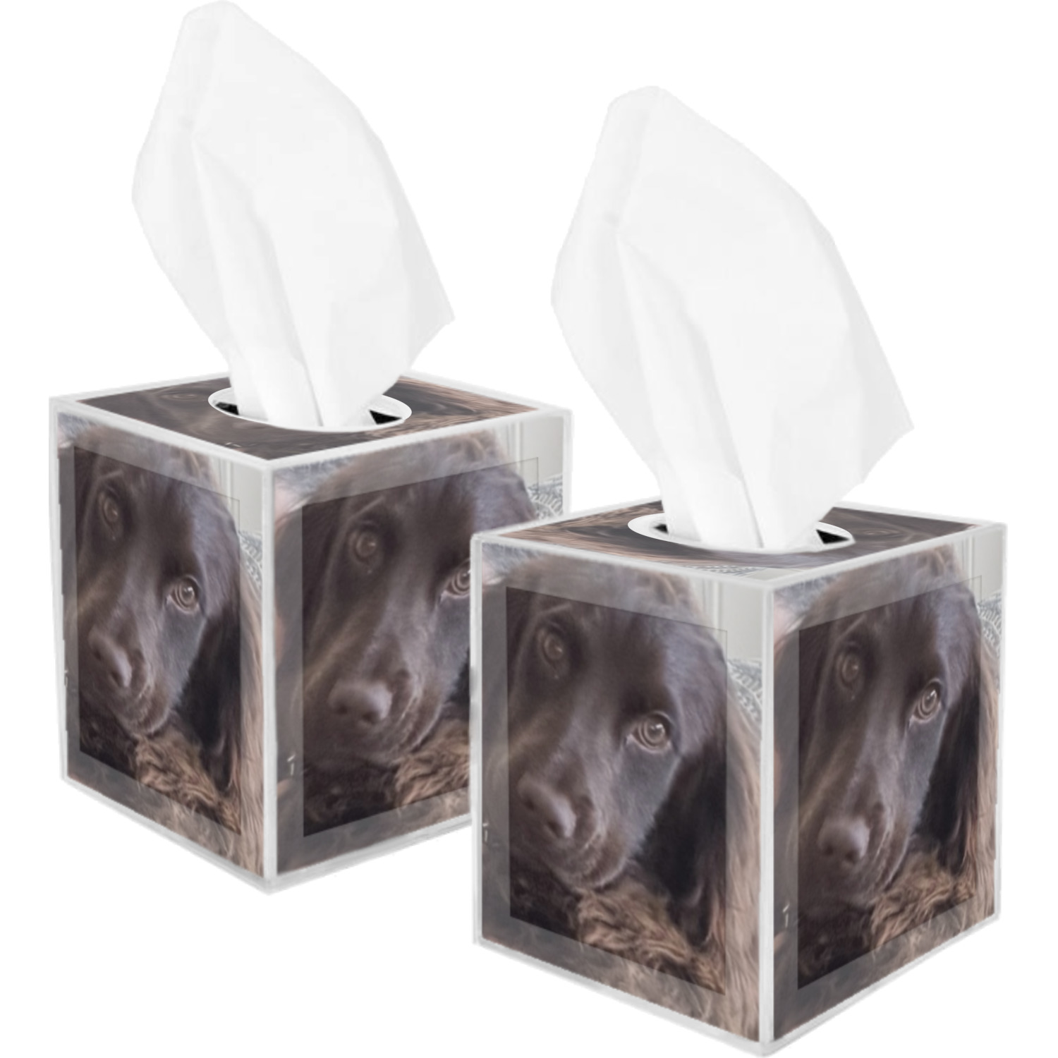 Generated Product Preview for Ana Maloney Review of Photo Tissue Box Cover