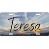 Generated Product Preview for Terra Milhorn Review of Design Your Own Front License Plate