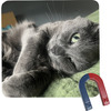 Generated Product Preview for CalliopeCO Review of Photo Square Fridge Magnet