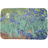Generated Product Preview for Tina Review of Irises (Van Gogh) Dish Drying Mat