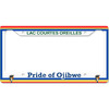 Generated Product Preview for NiceIceLady Review of Logo & Company Name License Plate Frame