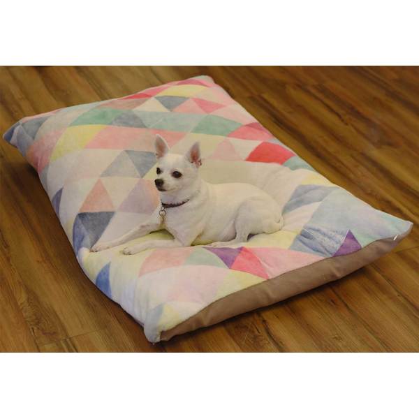 Little Chihuahua on Dog Bed