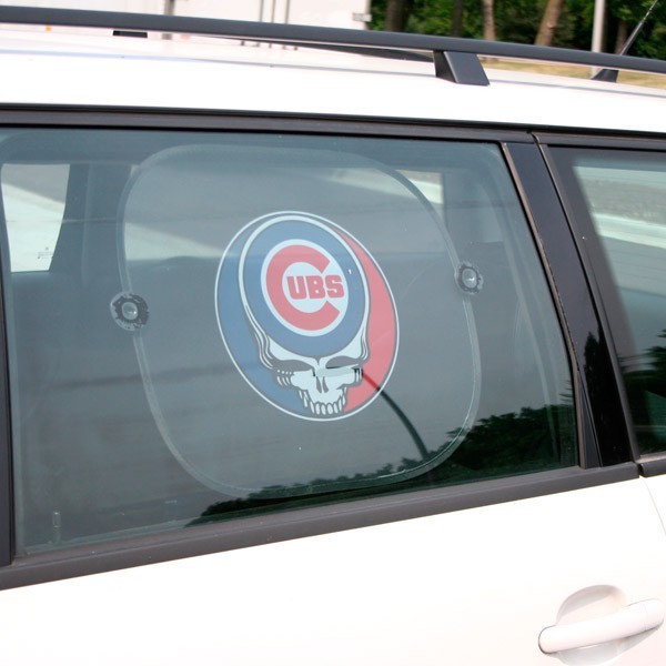 Vehicle Sun Shade Picture