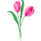 Tulips Templates for Baby Bib & Burp Sets