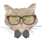 Hipster Cats Templates for Lunch Bags