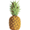 Pineapple Templates for Bling Keychains