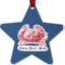 Design Your Own Metal Star Ornament - Double-Sided