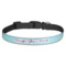 Design Your Own Dog Collar