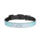 Design Your Own Dog Collar - Large