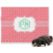Pink & Orange Chevron Dog Blanket - Large (Personalized)