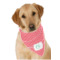 Design Your Own Dog Bandana Scarf