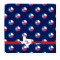 Texas Polka Dots Microfiber Dish Rag (Personalized)