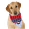 Design Your Own Dog Bandana Scarf