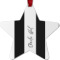 Design Your Own Metal Star Ornament - Double-Sided