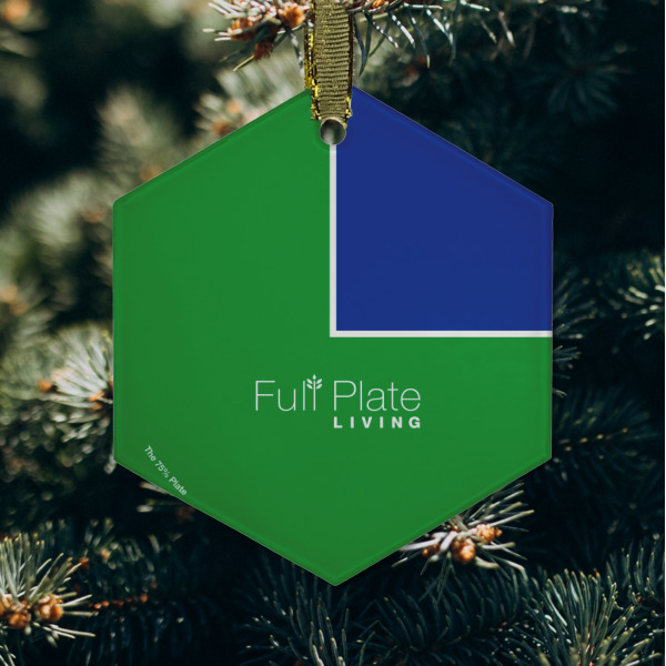 Custom Design - Frosted Glass Ornament - Hexagon (Lifestyle)