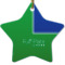 Design Your Own Star Ceramic Ornament