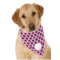 Design Your Own Dog Bandana Scarf