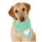 Design Your Own Dog Bandana Scarf
