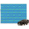 Design Your Own Dog Blanket - Large