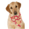 Design Your Own Dog Bandana Scarf