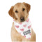 Design Your Own Dog Bandana Scarf