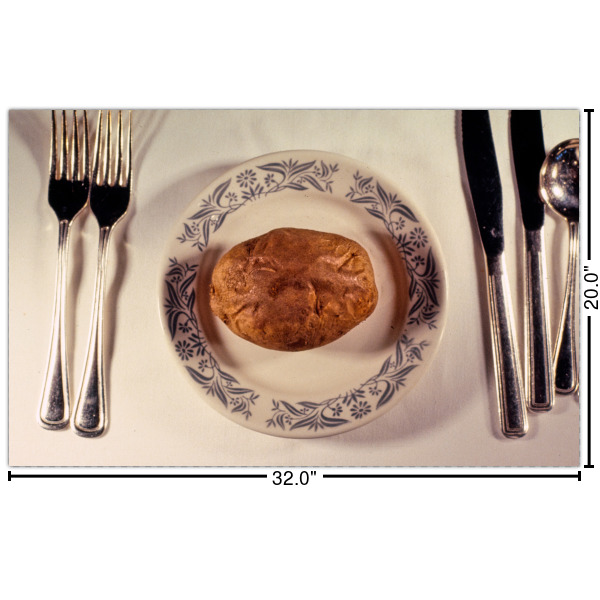 Custom Design Your Own Indoor / Outdoor Rug - Custom Size