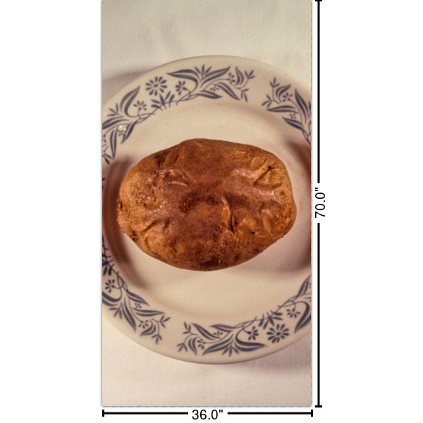 Custom Design Your Own Shower Curtain - Custom Size