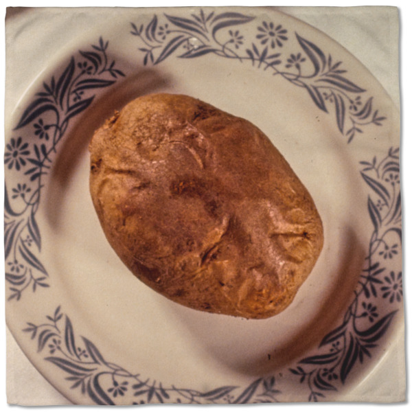 Custom Design - Cloth Napkins - Personalized Dinner (Full Open)