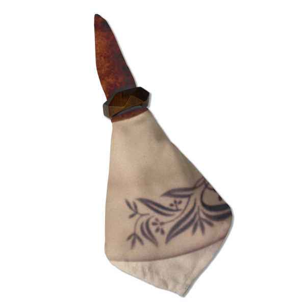 Custom Design - Cloth Napkins - Personalized Dinner (Folded in Ring) (MAIN)