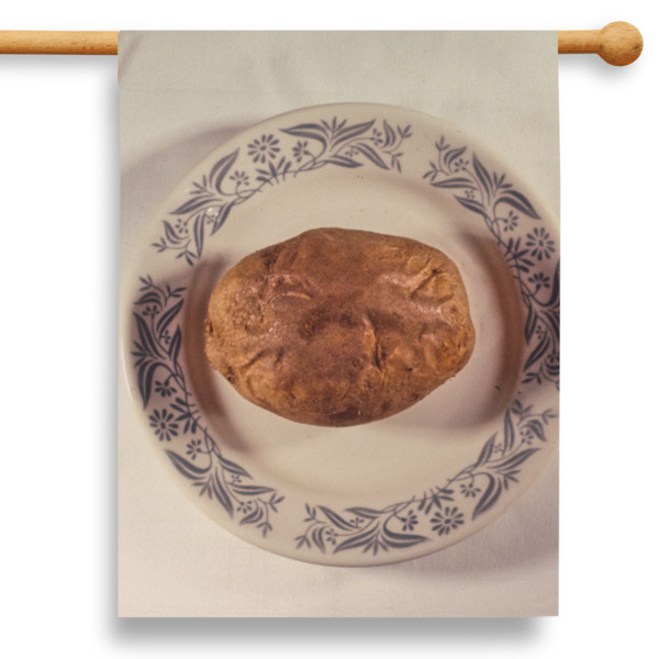 Custom Design Your Own 28" House Flag