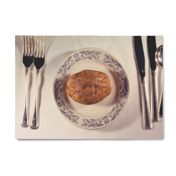 Custom Design Your Own Patio Rug - 4' x 6'