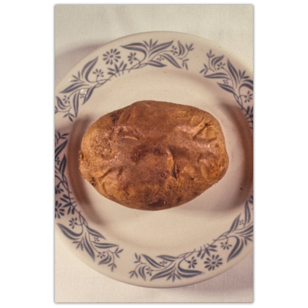 Custom Design - 20x30 - Canvas Print - Front View