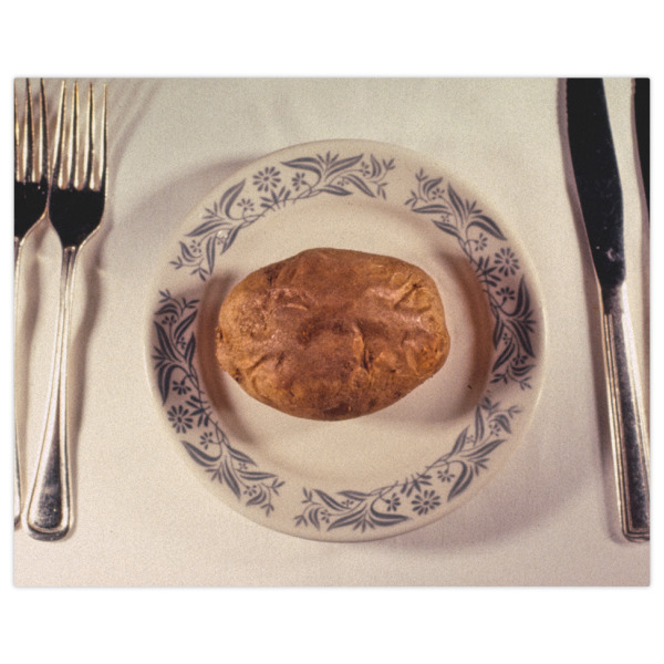 Custom Design - Indoor / Outdoor Rug - 8'x10' - Front Flat