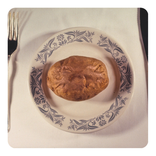 Custom Design Your Own Square Decal