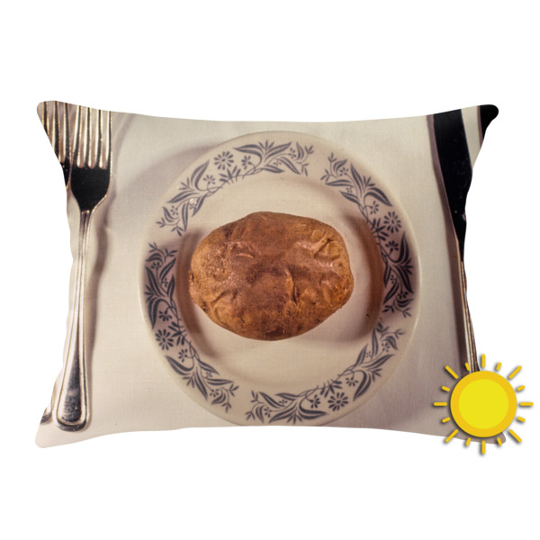 Custom Design Your Own Outdoor Throw Pillow - Rectangular