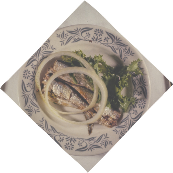 Custom Design - Bandana - Full View