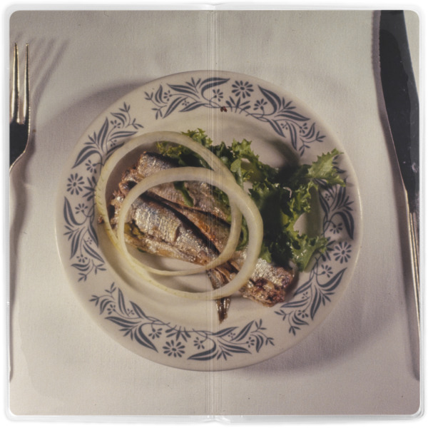 Custom Design - Vinyl Document Wallet - Apvl