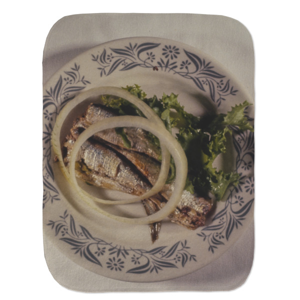 Custom Design - Old Burp Flat