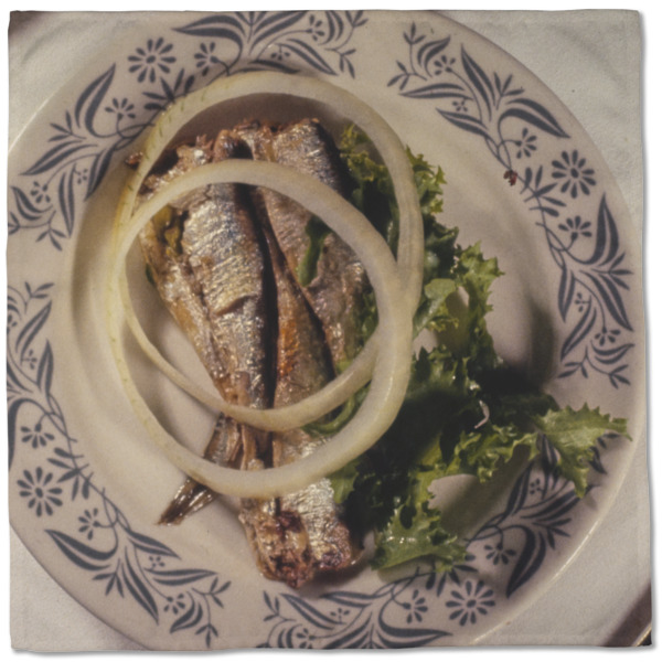 Custom Design - Cloth Napkins - Personalized Dinner (Full Open)