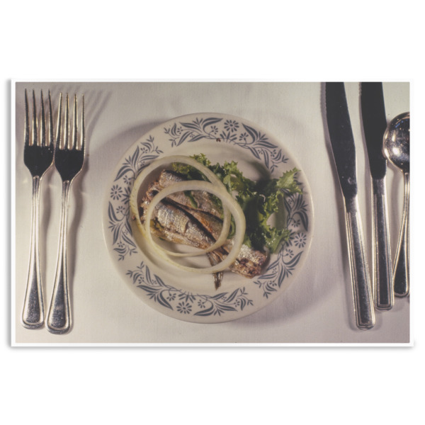 Custom Design Your Own Disposable Paper Placemats