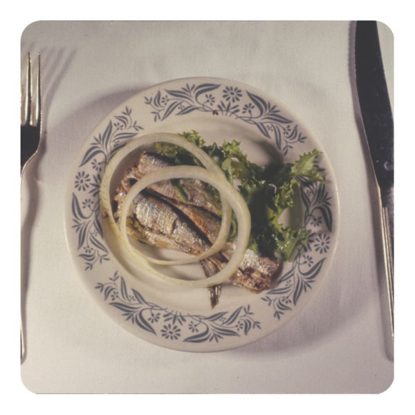 Custom Design Your Own Square Decal