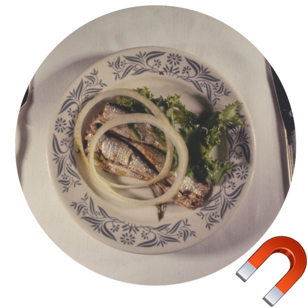 Custom Design Your Own Car Magnet