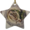 Design Your Own Star Ceramic Ornament