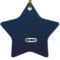 Design Your Own Star Ceramic Ornament