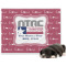 North Texas Airstream Community Dog Blanket - Large